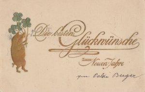 New Year 1902 embossed luck pig with shamrock greetings fantasy postcard Austria