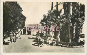 Modern Postcard Monte Carlo A corner of the casino Terraces and view on the C...