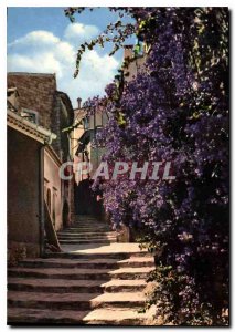 Modern Postcard The French Riviera Bormes les Mimosas Var Staircase Fleuri