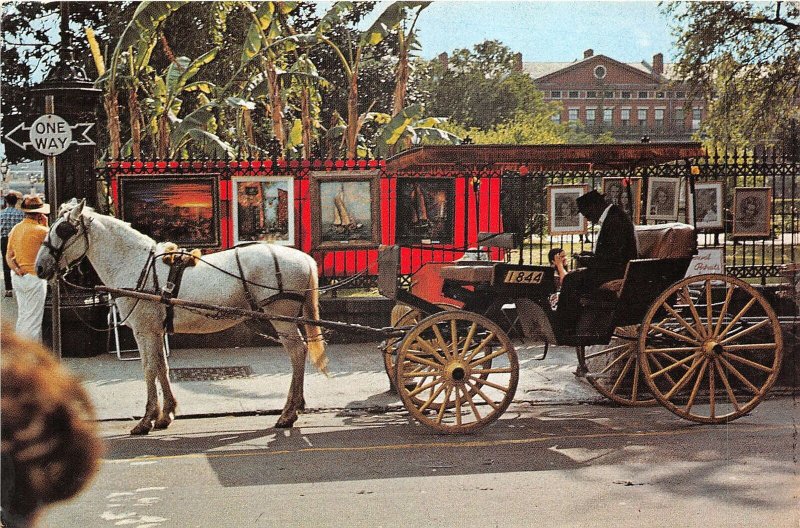 US5992 french quarter sightseeing carriage new orleans chariot  usa