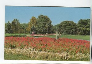 465107 USSR 1970 year Belarus Minsk Botanical Garden the Academy Sciences