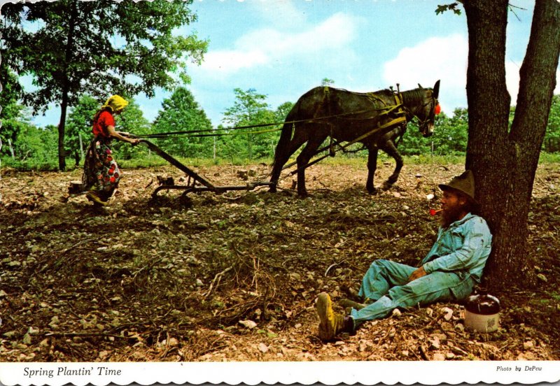 Hunour Spring Plantin' Time Woman Plowing and Man Resting Under Tree Wit...
