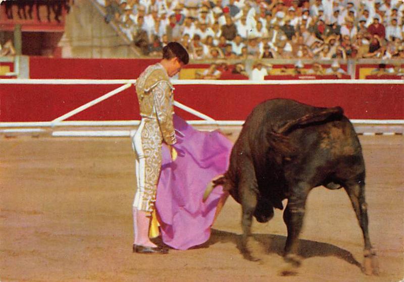 Corrida de Toros, A Pass with the cape Tarjeta Postal Bullfighting Unused