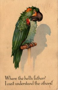 Where The Hell's Father? I Can't Understand The Others! Parrot Postcard 08.78