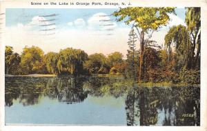 Orange New Jersey~Orange Park Lake~Weeping Willow Tree on Shore~1926 Postcard