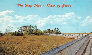 HOMESTEAD, FL Florida   PA HAY OKEE OVERLOOK~River of Grass   Chrome Postcard