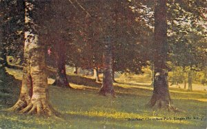 LOUISVILLE KENTUCKY~CHEROKEE PARK-THE BEECHES~1910s POSTCARD