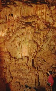 Vintage Postcard The Golden Fleece In Mammoth Cave National Park Kentucky KY