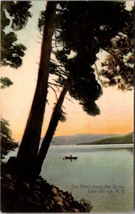 The Pines Along the Shore, Lake George NY c1908 Vintage Postcard Q62