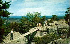 Swing Along Bridge Rock City Lookout Mountain Chattanooga Tennessee Tn Postcard 
