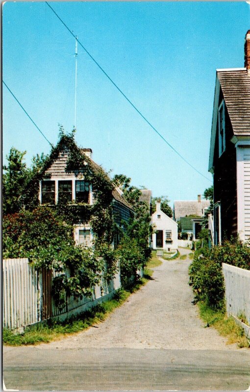 Cape Cod Scenic Village Lane Massachusetts Fences Houses Chrome Postcard 