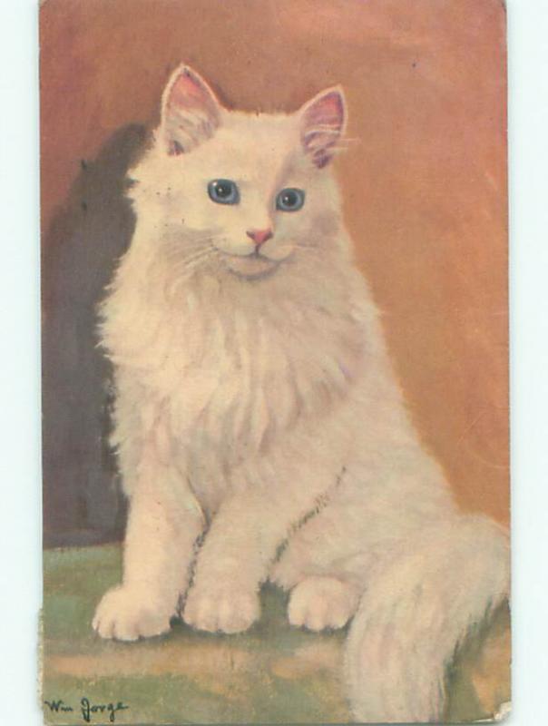 1944 signed PURE WHITE KITTEN CAT - BEAUTIFUL LARGE IMAGE k6553