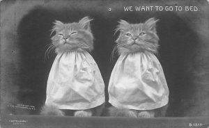 We want to go to bed Real Photo Cat 1908 oxidation on card from age, real photo