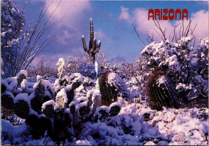 Arizona Desert Rare Snow Blanket 1993