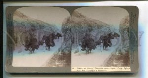 3116158 KOREA Farmers through PEKIN PASS SEOUL STEREO PHOTO