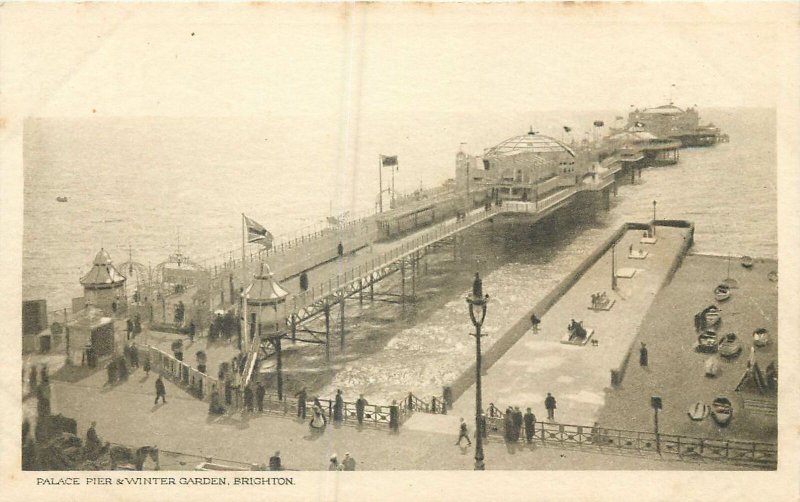 Postcard Uk England Sussex Palace Pier Winter garden