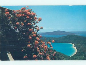 Pre-1980 NATURE SCENE St. Thomas US Virgin Islands USVI AD2521