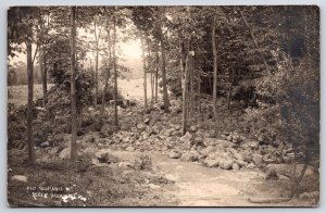 Foot Neshanic Mountain Belle Mead New Jersey NJ Forest Trees RPPC Photo Postcard