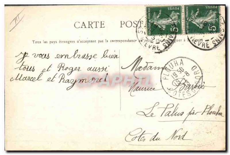 Old Postcard Lion Lions Miss Maud