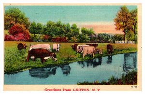 Postcard ANIMAL SCENE Groton New York NY AS6475