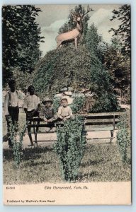 YORK, PA Pennsylvania   ELKS MONUMENT  c1900s Handcolored Langsdorf Postcard