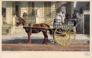 Horse Drawn Milk Cart Home Delivery New Orleans LA 1910c Phostint postcard