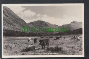 Scotland Postcard - Sgurr A'Mhaim From Glen Nevis SW4151