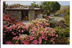 Coffee Shop, Flowers, Royal Botanical Gardens, Hamilton, Ontario, 