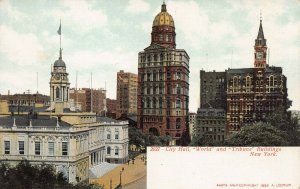 City Hall, World, & Tribune Buildings, Manhattan, New York City, 1895 postcard