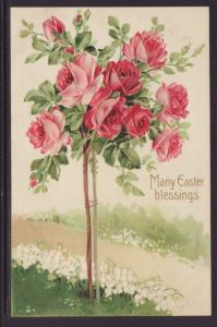 Many Easter Blessings,Roses