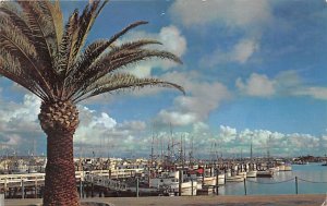 Fishing Pier San Diego California  