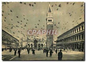 Modern Postcard Venezia Square Pigeons Marc S