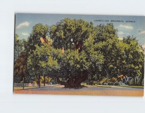 Postcard Lovers Oak Brunswick Georgia USA