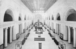 Chicago Illinois~Natural History Museum~Stanley Field Hall~Elephants~1950s B&W