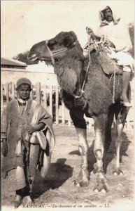 Tunisia Kairouan Un Chameau et son Cavalier Vintage Postcard C083