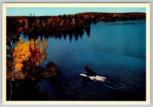 Fall Colours, Moose In A Lake, Canada, Chrome Aerial View Postcard #2