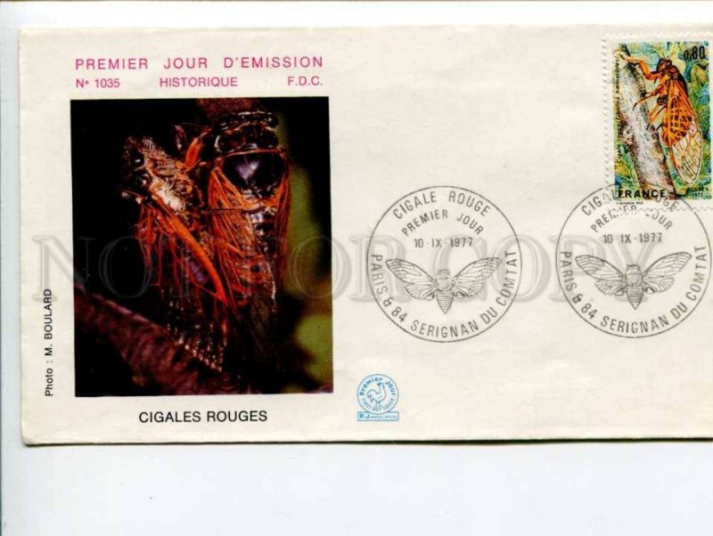 292288 FRANCE 1977 year First Day COVER Cigale Rouge insects