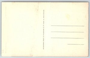 Napoleon Bonaparte  Et Son Temps  Grenadier   Postcard