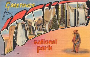 YOSEMITE NATIONAL PARK, CA Large Letter Greetings Linen 1940s Vintage Postcard