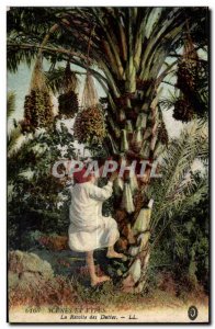 Old Postcard Morocco Scenes And Types of Harvest Dates Folklore