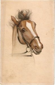 Horses'Head Olod vintage Belgian ñpostcard