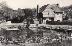 Ickenham Pond Uxbridge Real Photo Postcard