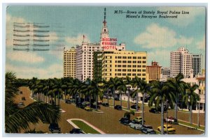 1960 Rows Of Safety Royal Palms Line Miami's Biscayne Boulevard Vintage Postcard 