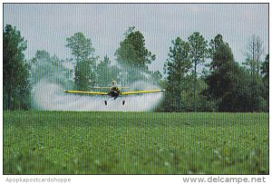 Georgia Airplane Crop Dusting A Peanut Field