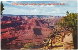 Hopi Point, Grand Canyon National Park, Arizona, Vintage Fred Harvey Postcard