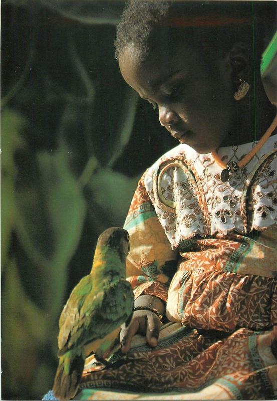Native african girl with parakeet bird postcard