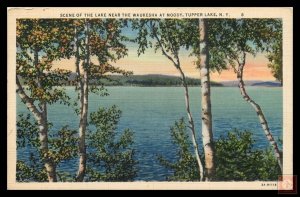Scene Of The Lake Near The Waukesha at Moody, Tupper Lake, NY