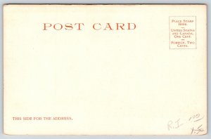 Newport RI~Vanderbilt Residence~Breakers Mansion~Lawn~Detroit Pub Co c1905 PC