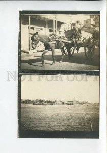 3186134 RUSSIA CIVIL WAR Czech Legion in Port Said EGYPT photo