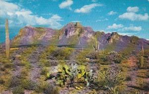 Arizona Mesa The Superstition Range